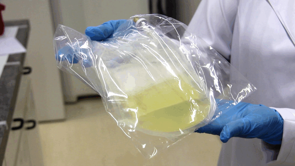 Courtesy of Ribeirão Preto’s Nutera Center