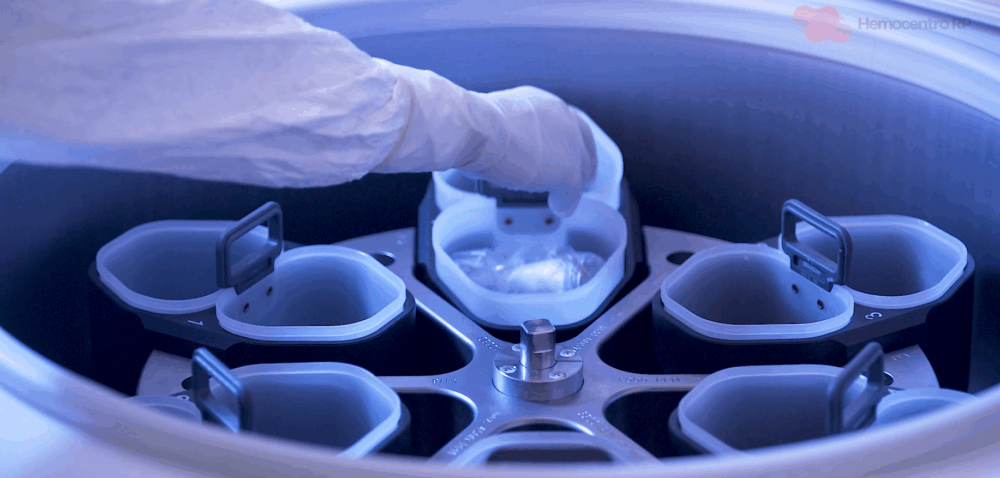 Courtesy of Ribeirão Preto’s Nutera Center