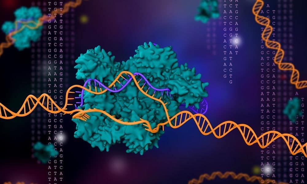 Image The New CRISPR-Based Covid-19 Test Could Be a Game-Changer