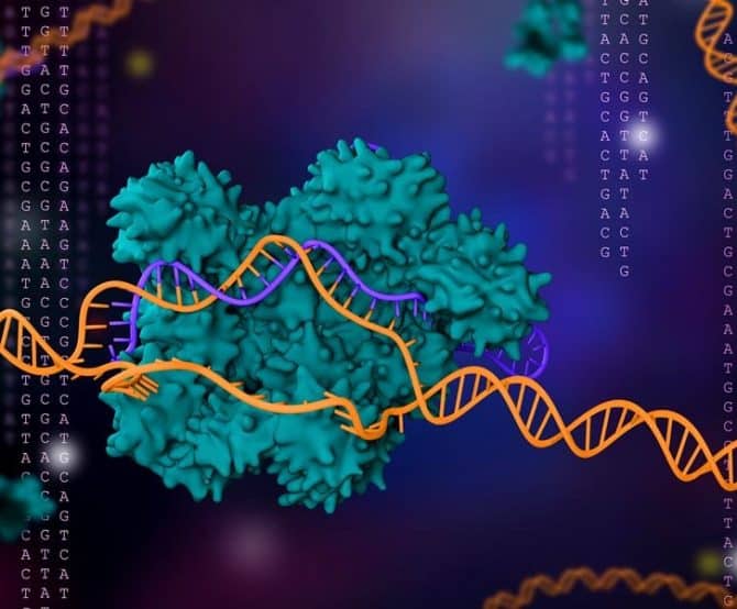 Image The New CRISPR-Based Covid-19 Test Could Be a Game-Changer