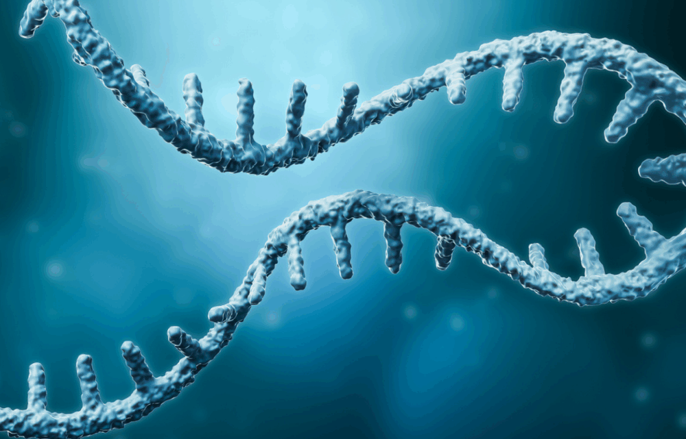 Image RNA Therapies: From Pandemic Vaccines to Tomorrow’s Medicine