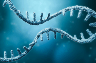 Image RNA Therapies: From Pandemic Vaccines to Tomorrow’s Medicine