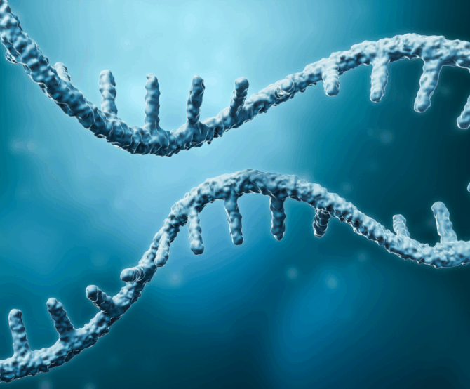 Image RNA Therapies: From Pandemic Vaccines to Tomorrow’s Medicine