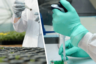 Image Vegan Vaccines Take Root: Inside Aramis Biotechnologies’ Plant-Based Revolution