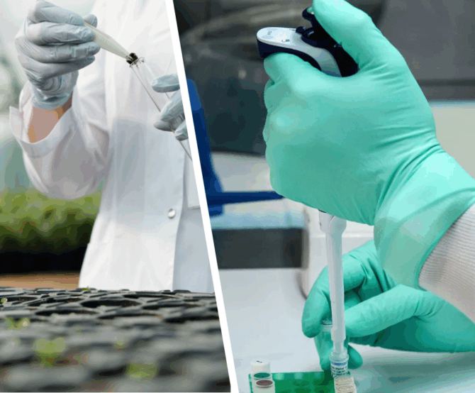 Image Vegan Vaccines Take Root: Inside Aramis Biotechnologies’ Plant-Based Revolution