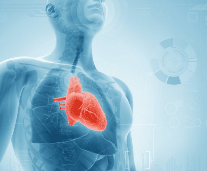 Image [Summer Rewind] The Concept of “In-Silico Medicine”