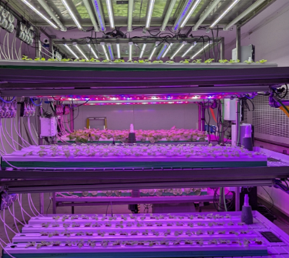 Indoor Farming (Aramis Biotechnologies)