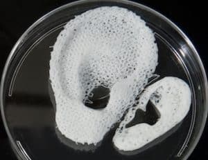 3D Printed Ear Scaffolds (Courtesy of WFIRM)