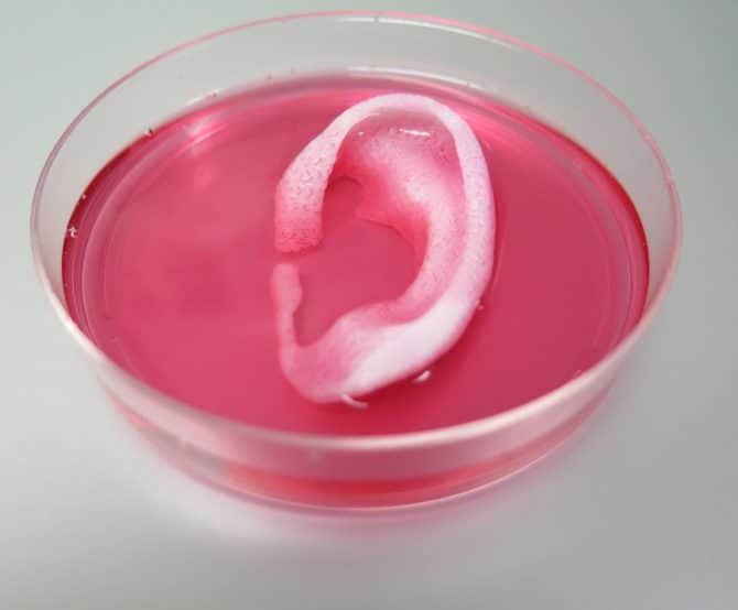 Image 3D Printing Living Tissues