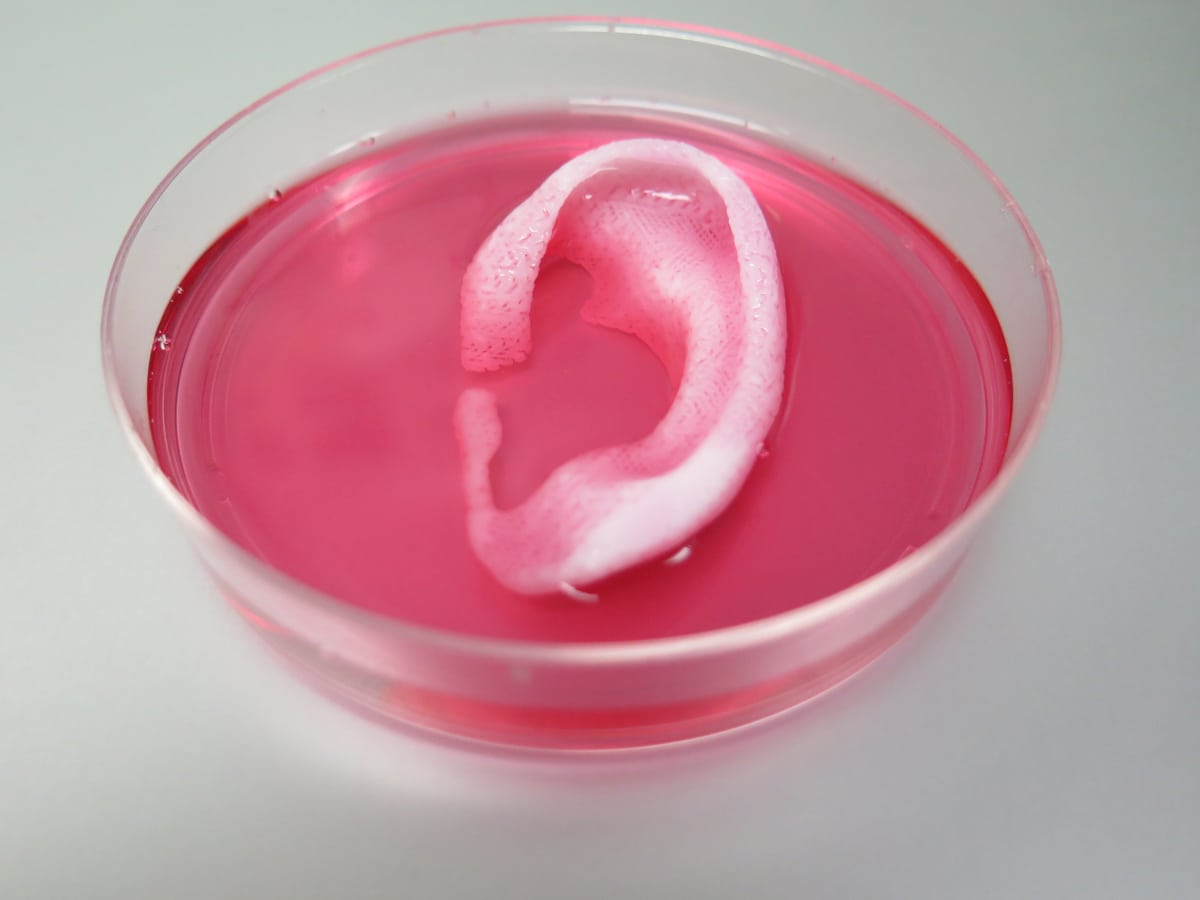 3D Printing Living Tissues