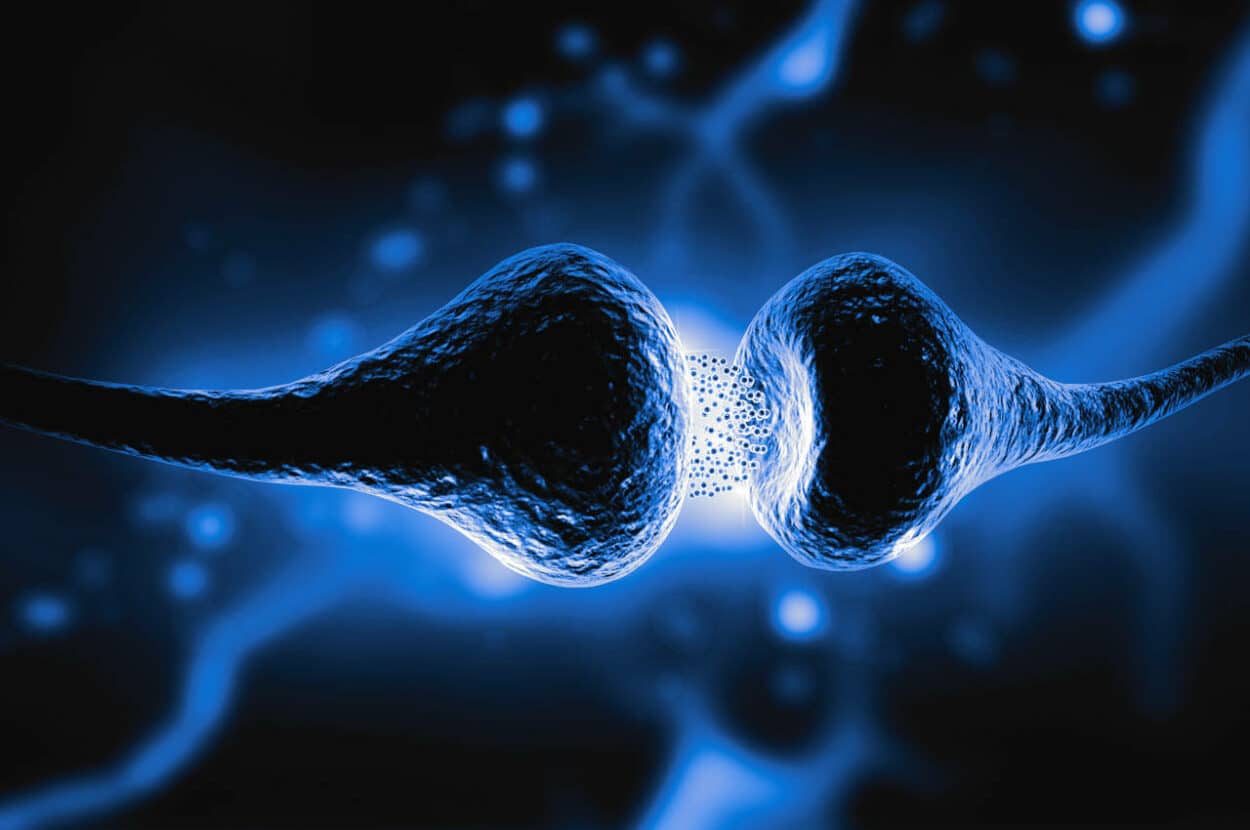 Determining amyloid pathology early.