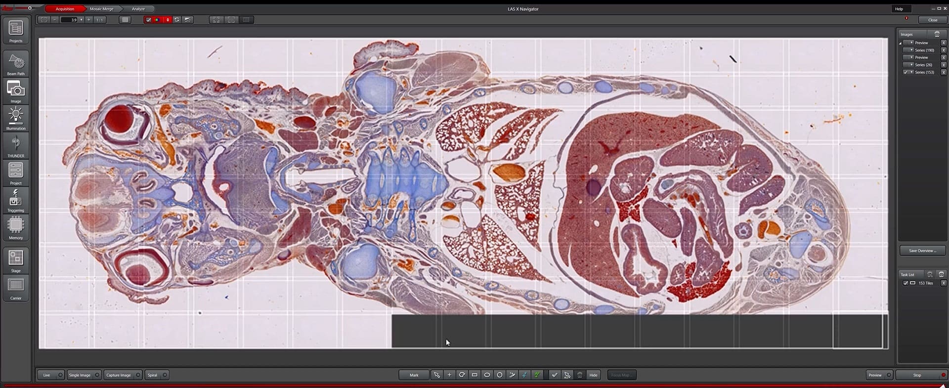 Las Microscope SPONSORED. Which Microscope Camera Is Right for Your Life Science ...