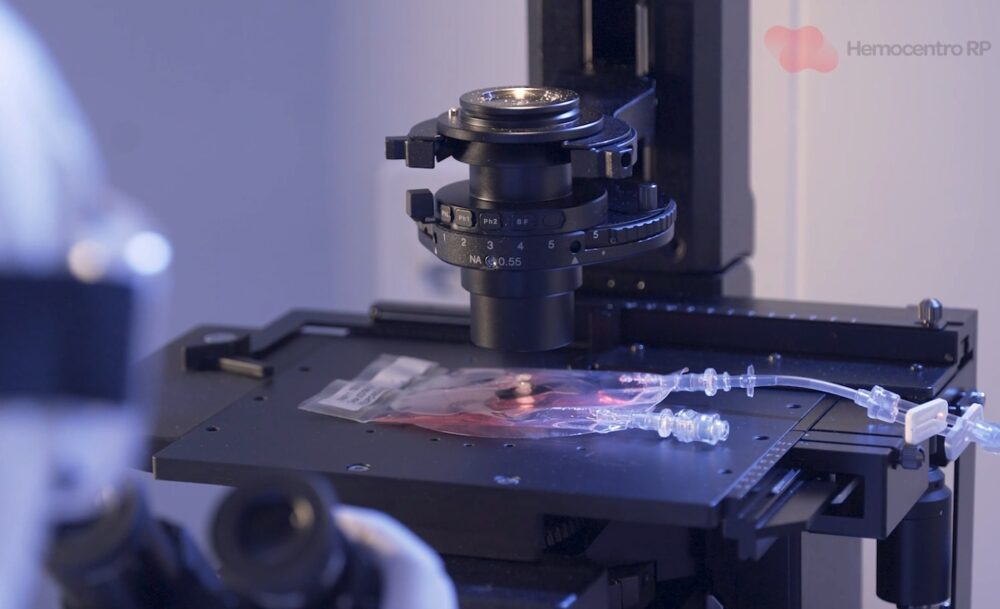 Brazil Delivers Latin America’s First Homegrown CAR-T Cancer Therapy