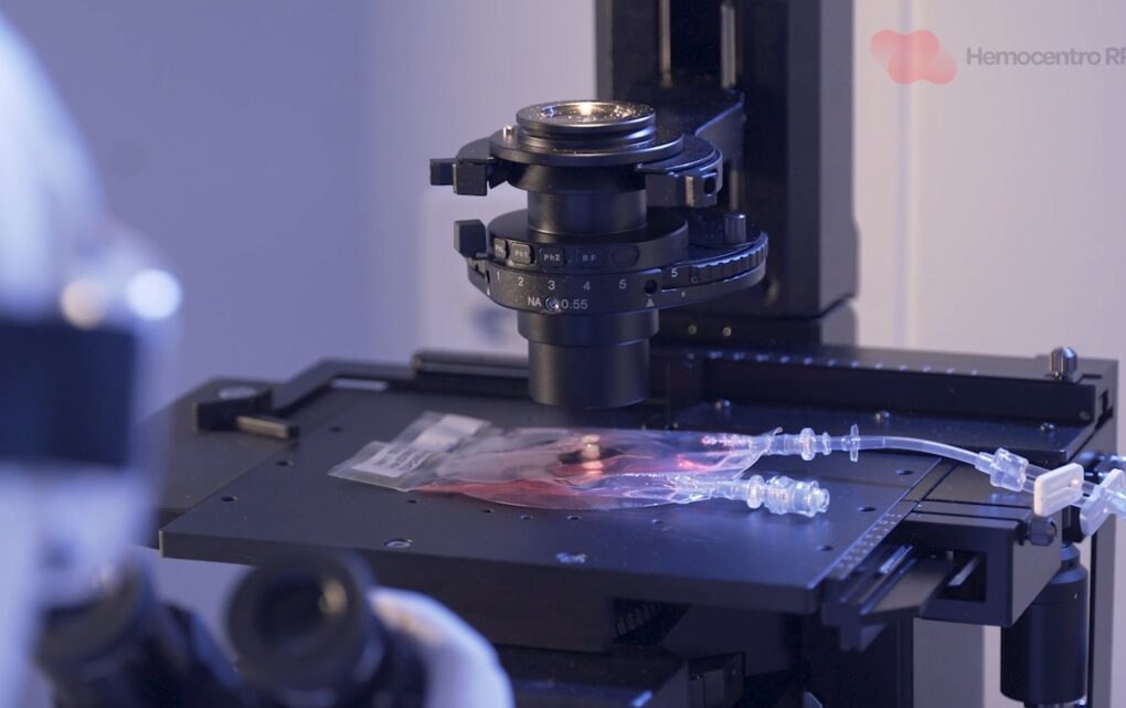 Image Brazil Delivers Latin America’s First Homegrown CAR-T Cancer Therapy