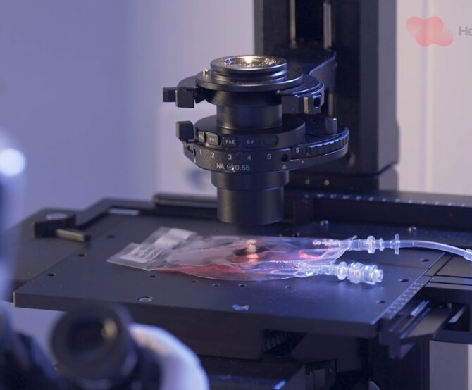 Image Brazil Delivers Latin America’s First Homegrown CAR-T Cancer Therapy