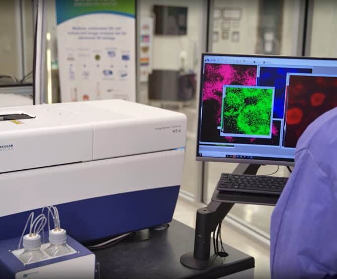 Image Growing Interest in Organoids: AI & Automated Solutions by Molecular Devices