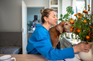 Image Why In-Home Euthanasia Benefits Pets, People, and the Veterinary Profession