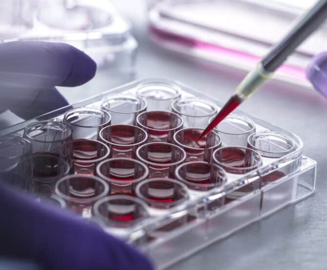 Image Plant-based Options for Microbiology and Cell Culture