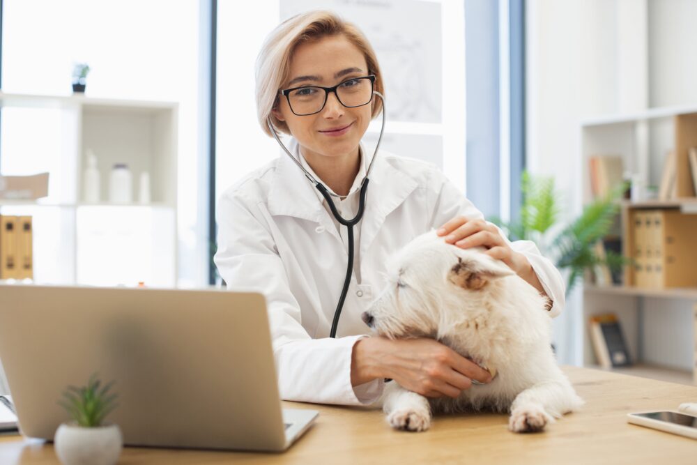 Rethinking Technology in Veterinary Medicine: How Vetspire Builds AI That Works in Real Clinics