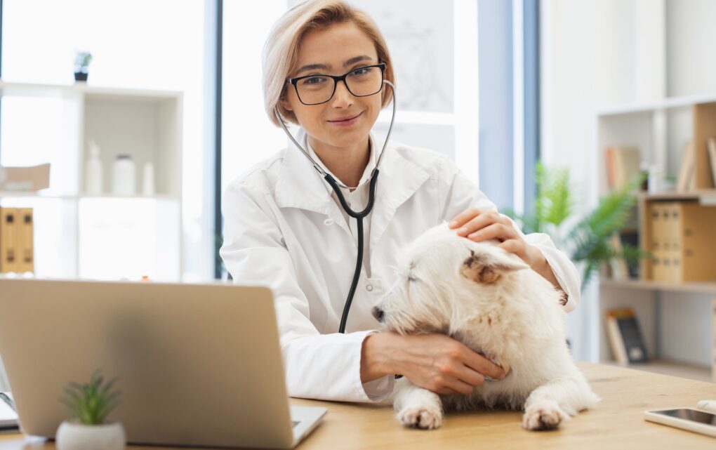 Image Rethinking Technology in Veterinary Medicine: How Vetspire Builds AI That Works in Real Clinics