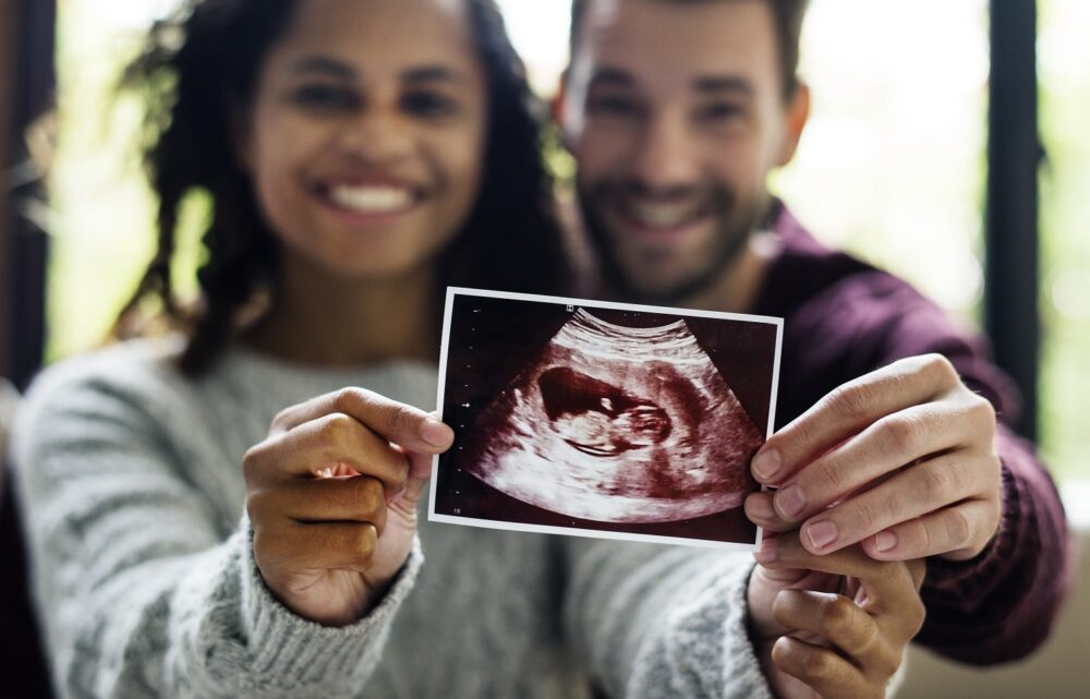 Image The Evolving Landscape of Fertility Preservation: From IVF to Oocyte and Ovarian Tissue Cryopreservation