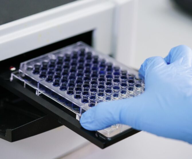 Image The Impact of Digital PCR on Quantification in Biopharma Research and Manufacturing