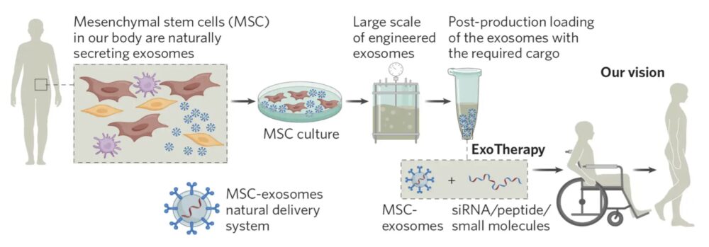 The science of exotherapy. Courtesy of the company.