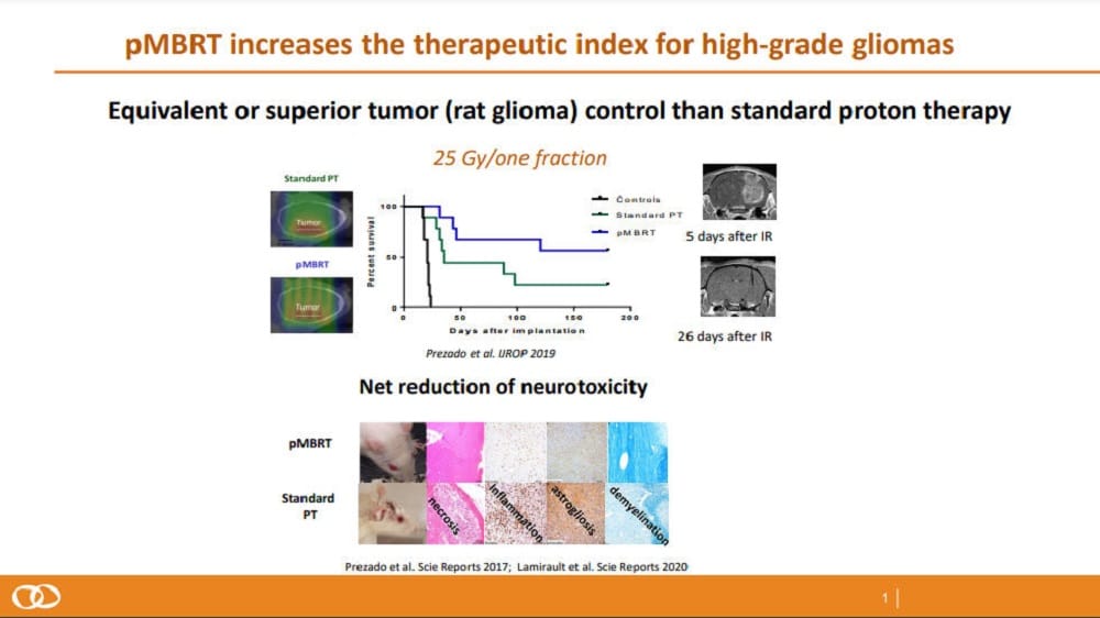 (Credit: Institut Curie Research Center)