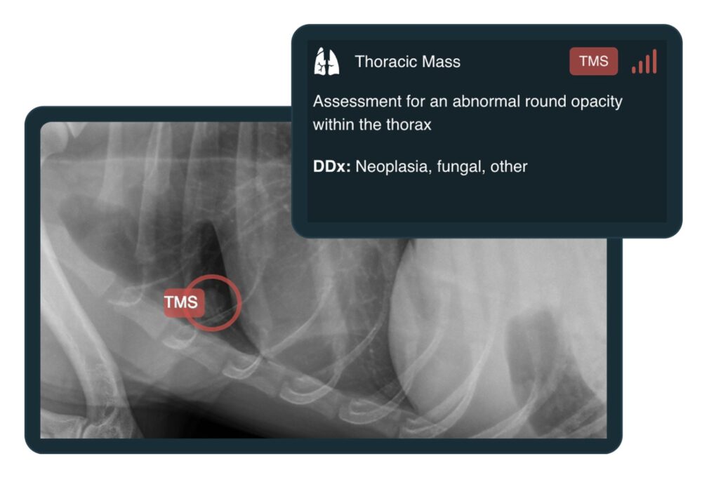 SignalPET 360° Radiology platform