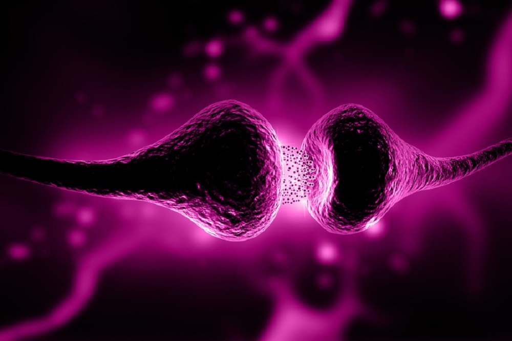 Alzheimer's biomarkers, Tau. (Credit: Fujirebio)