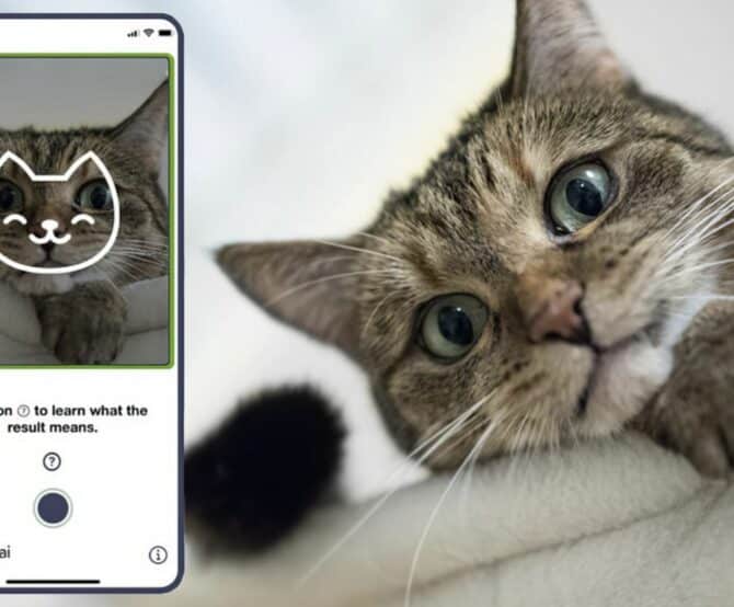 Image Sylvester.ai’s AI-powered Tools Transform Cat Care