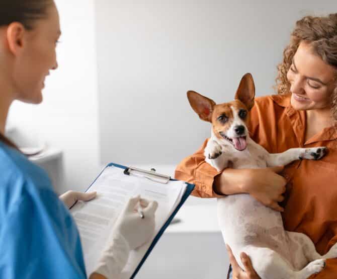 Image Vet Tech: AI-powered Canine & Feline Dental Charts on Co.Vet