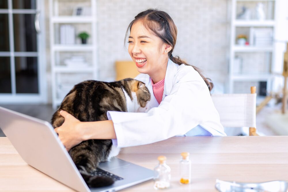 It only works if the cat doesn't take over. Image via Envato.