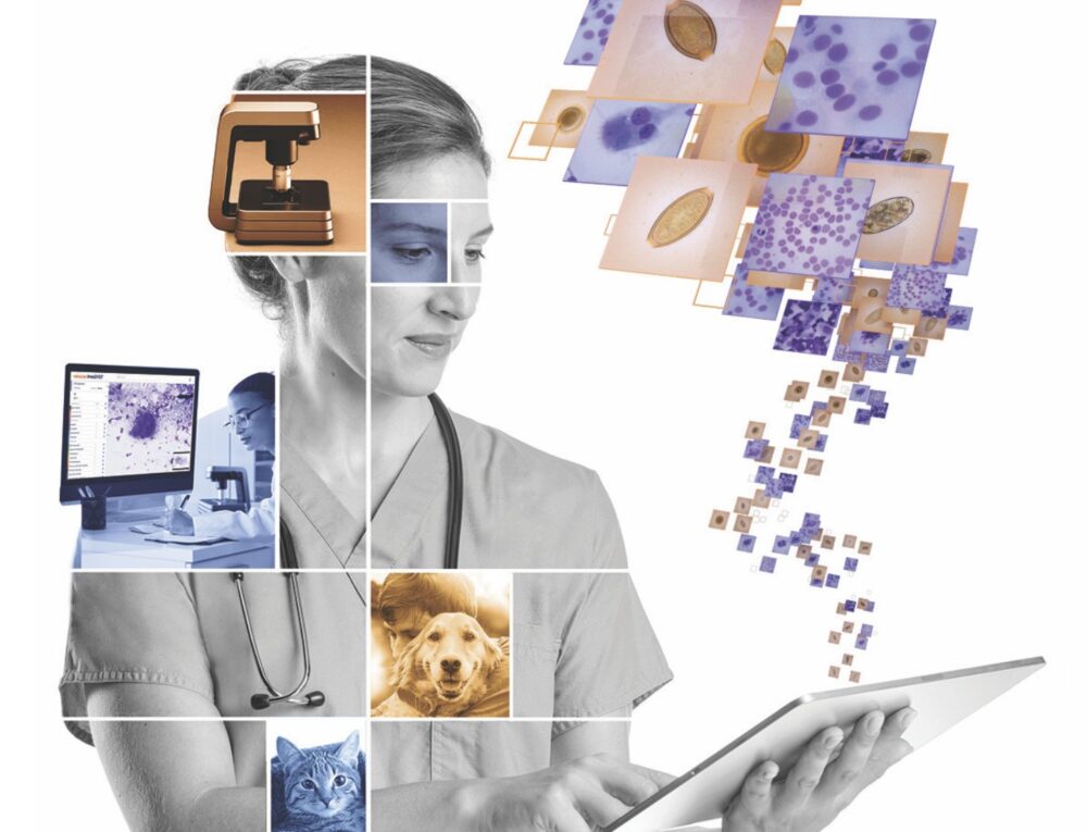 Zoetis’s AI Imagyst platform. Courtesy of the company.