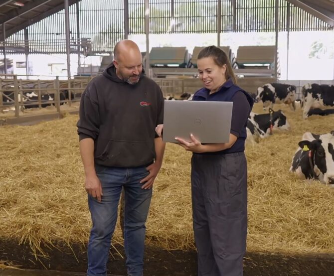 Image Vet Vision AI: How 24/7 Computer Vision Is Revolutionizing Animal Health and Welfare