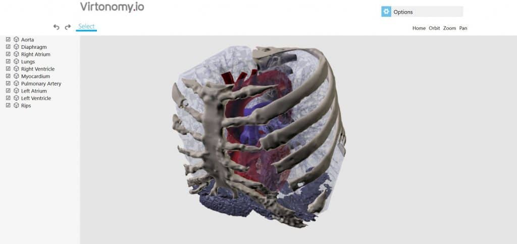 The V-patients database (Credit: Virtonomy)