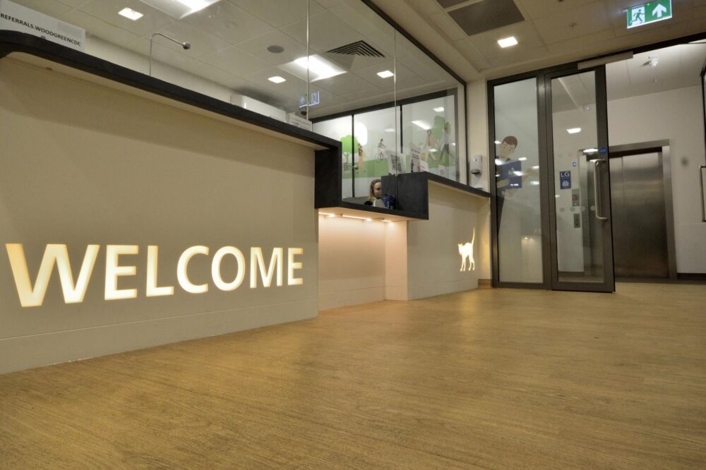 Wood Green. Courtesy of HFM Architecture and Project Management.